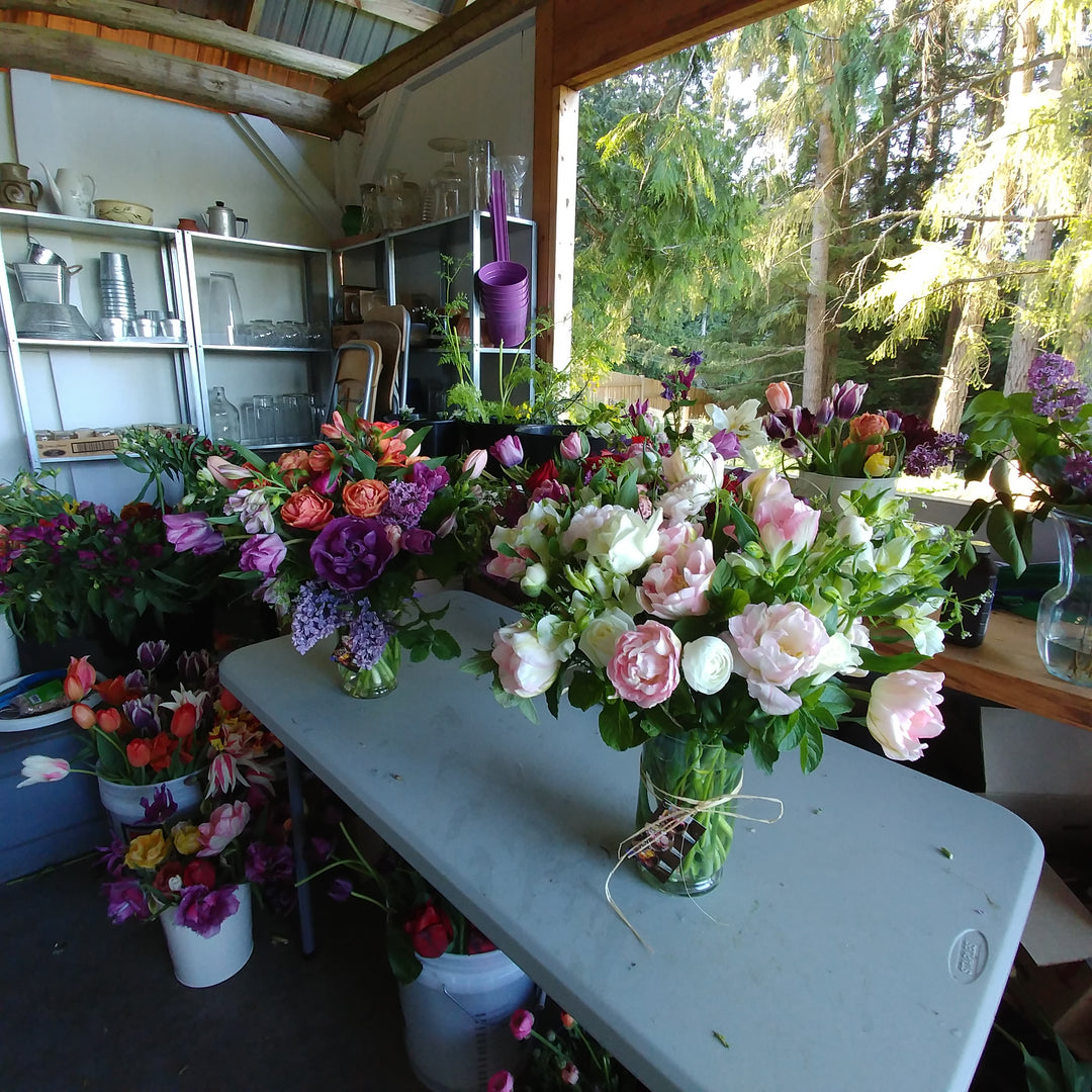 Spring at Alchemy Farm
