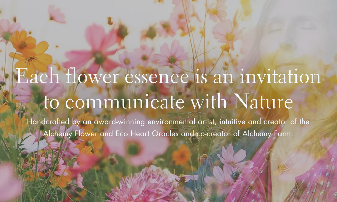 Full Super Pink Moon Flower Essences: A Visit from the Fairy Realm