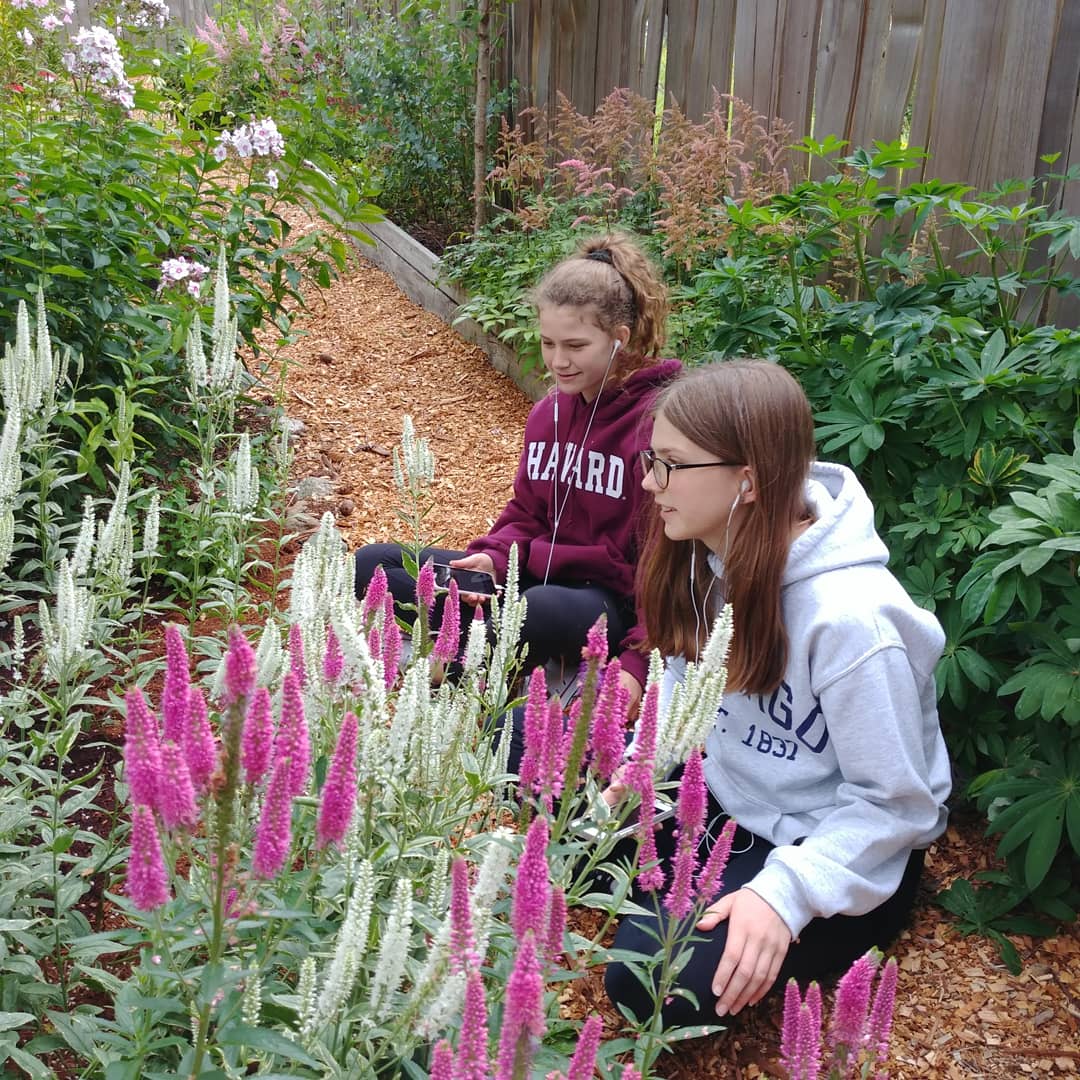 Alchemy Farm Sound Garden - Interactive Sound Installation and Garden Tour Reopens in Summer 2020