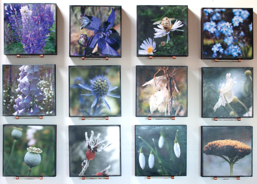 Finding My Way Back with Flower Guides