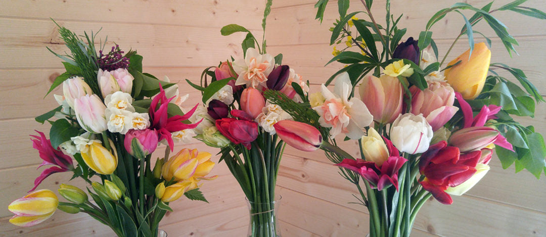 The Environmental Artist Flower Farmer