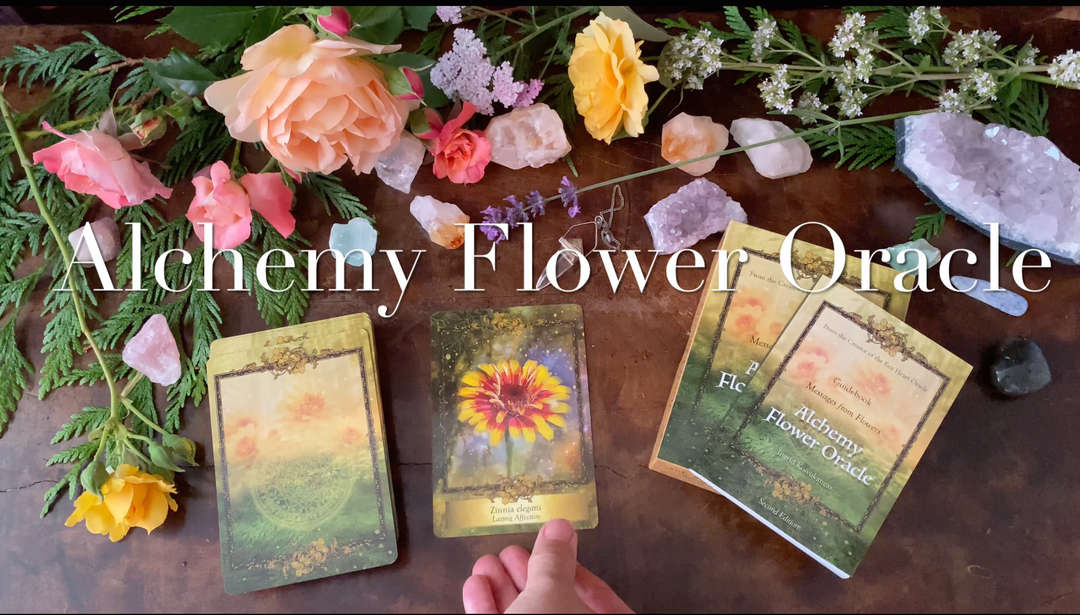 Sister Deck Bundle: Alchemy Flower and Eco Heart Oracle