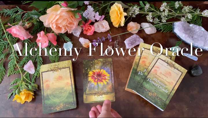 Sister Deck Bundle: Alchemy Flower and Eco Heart Oracle