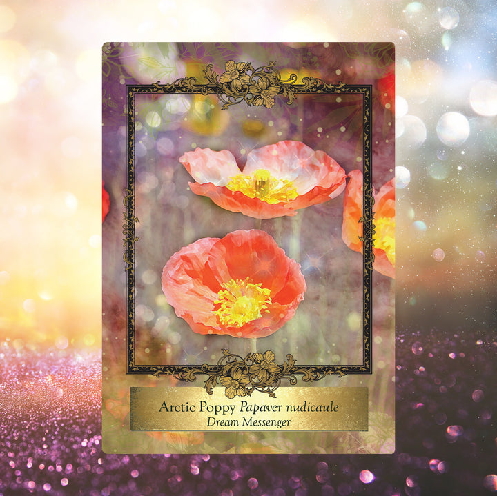 Alchemy Flower Oracle ~ Messages from Flowers