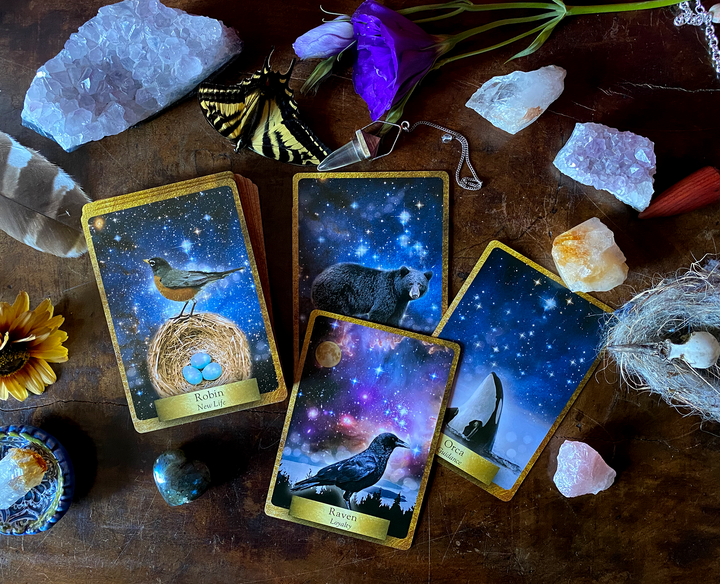 Eco Heart Oracle ~Messages from the Earth and Nature