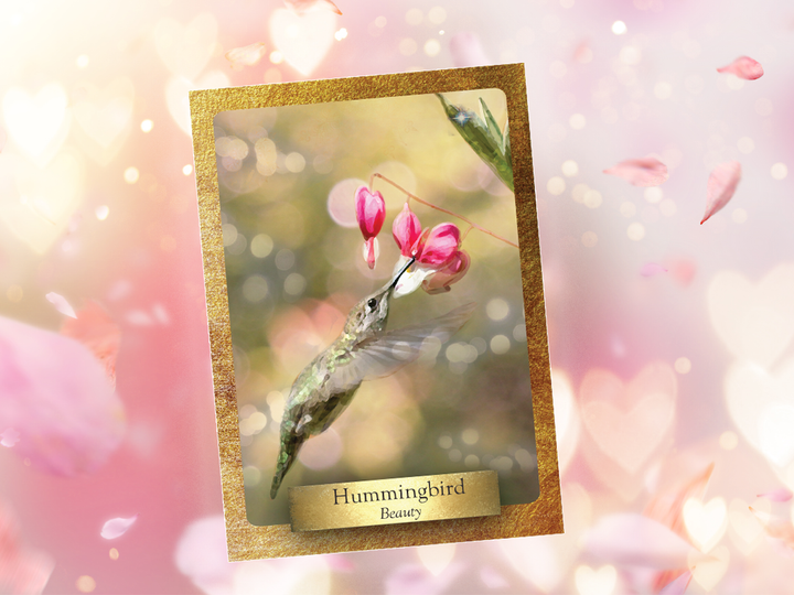 Sister Deck Bundle: Alchemy Flower and Eco Heart Oracle