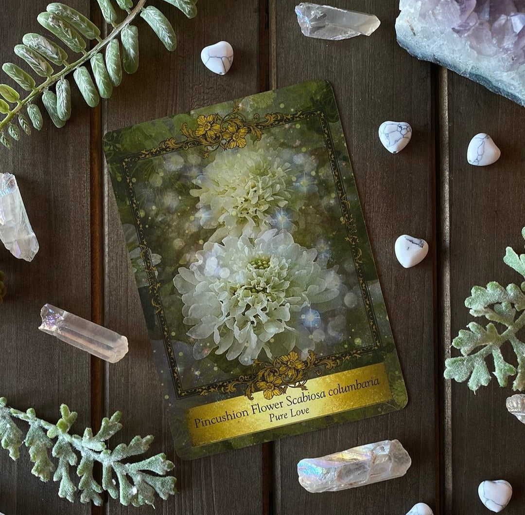 Alchemy Flower Oracle ~ Messages from Flowers