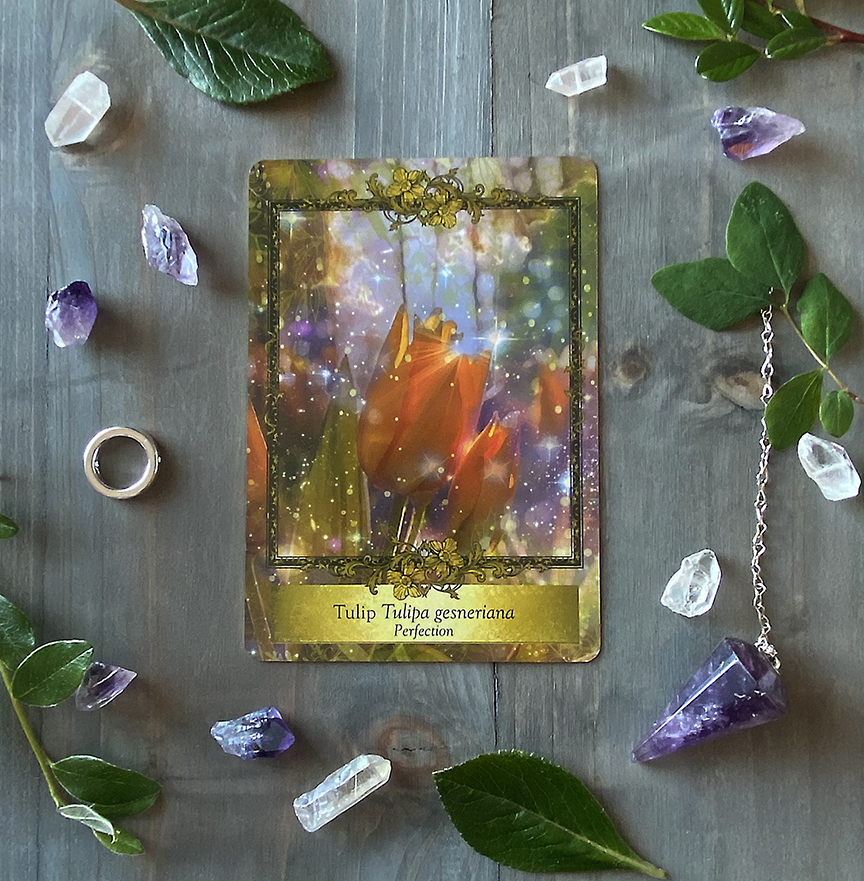 Alchemy Flower Oracle ~ Messages from Flowers