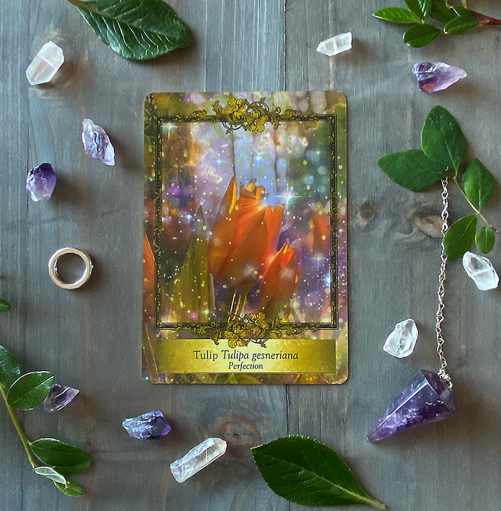 Alchemy Flower Oracle ~ Messages from Flowers