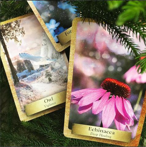 Eco Heart Oracle ~Messages from the Earth and Nature